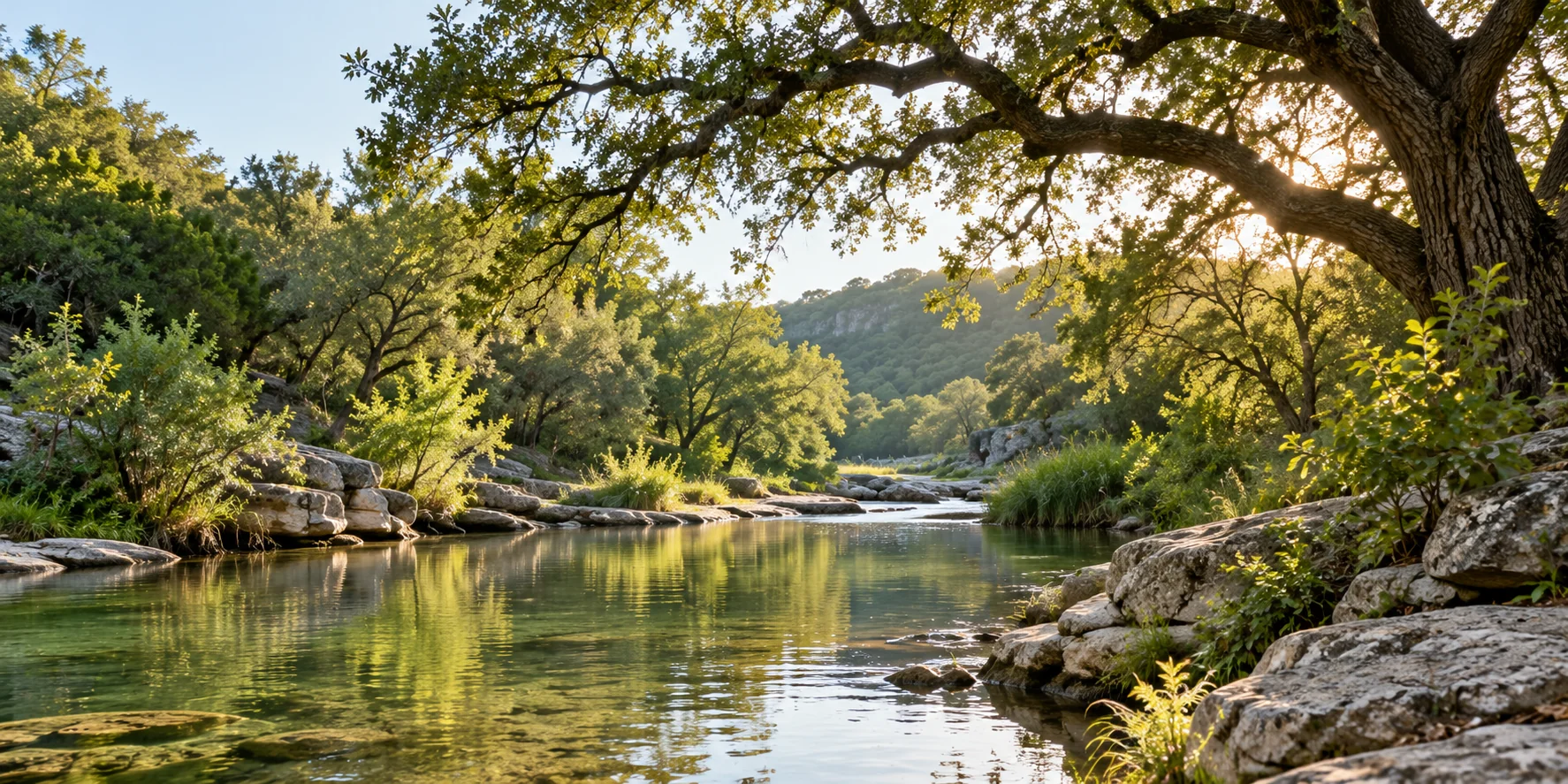 Peaceful wooded creek used as an illustrative nature photograph